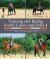 Training and Riding with Cones and Poles : Over 40 Engaging Exercises to Improve Your Horse's Focus and Response to the Aids, While Sharpening Your Timing and Accuracy Training and Riding with Cones and Poles : Over 40 Engaging Exercises to Improve Your Horse's Focus and Response to the Aids, While Sharpening Your Timing and Accuracy