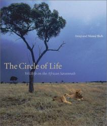 The Circle of Life : Wildlife on the African Savannah