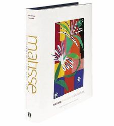 Matisse : From Color to Architecture