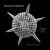 Nanocosmos : Journeys in Electron Space
