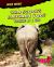 Who Scoops Elephant Poo?: Working at a Zoo