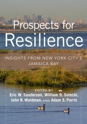 Prospects for Resilience : Insights from New York City's Jamaica Bay