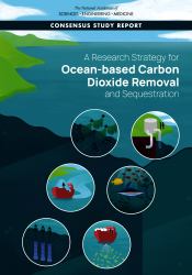 A Research Strategy for Ocean-Based Carbon Dioxide Removal and Sequestration