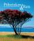 Pohutukawa and Rata : New Zealand's Iron-Hearted Trees