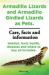 Armadillo Lizards and Armadillo Girdled Lizards As Pets. Armadillo Lizards Care, Habitat, Food, Health, Diseases and Where to Buy All Included