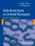 Early Brain Injury or Cerebral Vasospasm : Vol 1: Pathophysiology