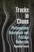 Tracks in Chaos : Philosophical Orientation and Political Reflection