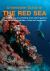Underwater Guide to the Red Sea