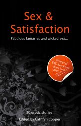 Sex and Satisfaction : A Collection of Twenty Erotic Stories