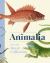 Animalia : From the Royal Collection
