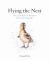 Flying the Nest : The Early Days of Britain's Best-Loved Baby Animals