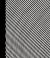 Bridget Riley: Paintings, 1963-2015 Bridget Riley: Paintings, 1963-2015