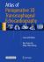 Atlas of Perioperative 3D Transesophageal Echocardiography : Cases and Videos