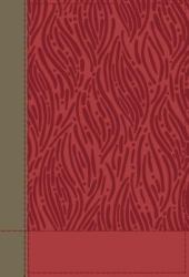 Faithlife Illustrated Study Bible : Biblical Insights You Can See