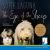 The Eye of the Sheep The Eye of the Sheep
