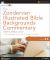 Zondervan Illustrated Bible Backgrounds Commentary-New Testament for Windows 6. 0 : The Complete 4-Volume New Testament Commentary