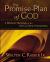 The Promise-Plan of God : A Biblical Theology of the Old and New Testaments