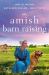 An Amish Barn Raising : Three Stories