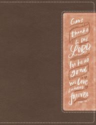 NIV Beautiful Word Bible Red Letter Edition [Brown/Pink]