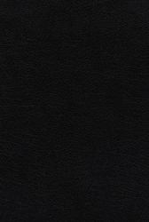 NIV Thompson Chain-Reference Bible, Thumb Indexed, Red Letter, Comfort Print [Black]