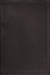 NIV Application Bible : Bringing the Ancient Message of the Bible into Your World