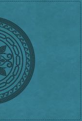 Bible : Bringing the Ancient Message of the Bible into Your World