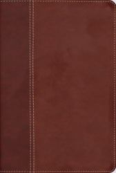 NIV, Cultural Backgrounds Study Bible (Context Changes Everything), Leathersoft, Brown, Red Letter : Bringing to Life the Ancient World of Scripture