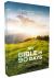 NIV, Bible in 90 Days, Paperback : Cover to Cover in 12 Pages a Day