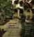 Courtyard Housing in Los Angeles Courtyard Housing in Los Angeles