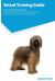 Briard Training Guide Briard Training Guide Includes : Briard Agility Training, Tricks, Socializing, Housetraining, Obedience Training, Behavioral Training, and More