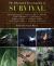 The Illustrated Encyclopedia of Survival