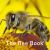 Nature Book Series: the Bee Book