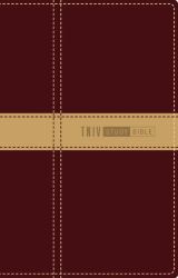TNIV Study Bible