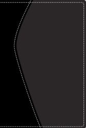 Study Bible-TNIV
