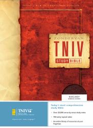 TNIV Study Bible