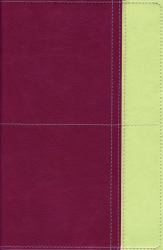 TNIV Study Bible