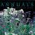 Discovering Annuals