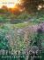 Sticky Wicket : Gardening in Tune with Nature