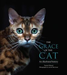 The Beauty of the Cat : An Illustrated History