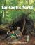 Fantastic Forts : Inspiration for Wild Hideaways