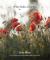 What Makes a Garden : A Considered Approach to Garden Design