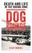 Dog Rounds : Death and Life in the Boxing Ring