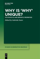 Why Is 'Why' Unique? : Its Syntactic and Semantic Properties