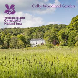 Colby Woodland Garden, Pembrokeshire : National Trust Guidebook