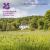 Colby Woodland Garden, Pembrokeshire : National Trust Guidebook Colby Woodland Garden, Pembrokeshire : National Trust Guidebook