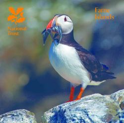 Farne Islands