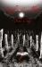 Lord of the Hunt : Sooty Feathers Book II
