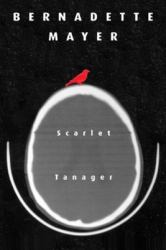 Scarlett Tanager : Poetry