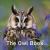 Nature Book Series: the Owl Book