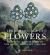 The Golden Age of Flowers : Botanical Illustration in the Age of Discovery 1600-1800
